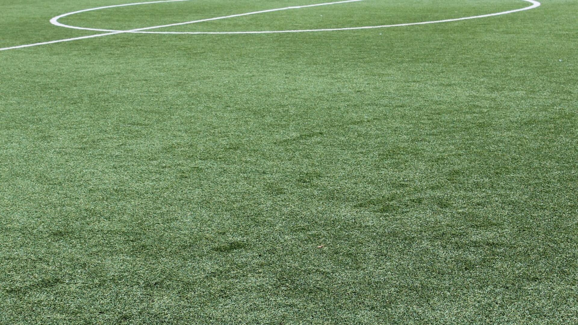 synthetic-grass-1436614_1280.jpg